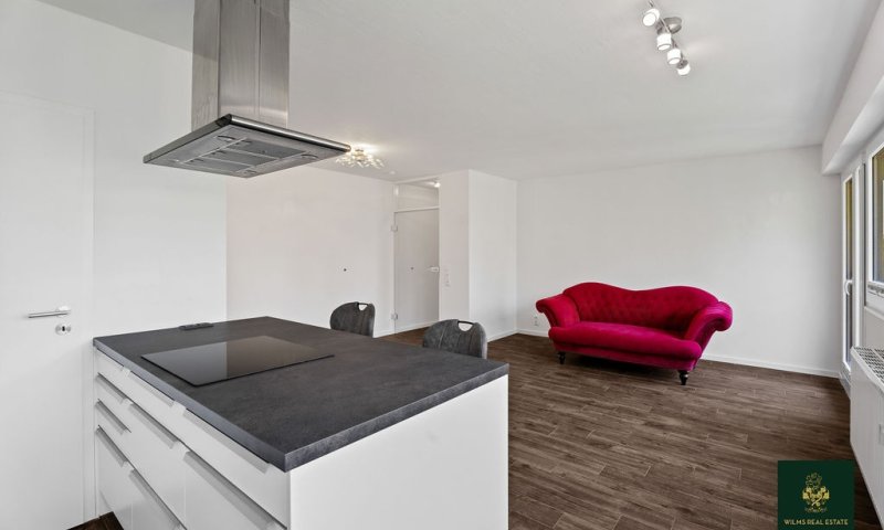 Über den Dächern der Kölner Altstadt – stilvoll sanierte 2-Zimmer-Wohnung direkt an Groß St. Martin